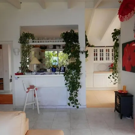 Bungalow Palmitita Lejlighed *