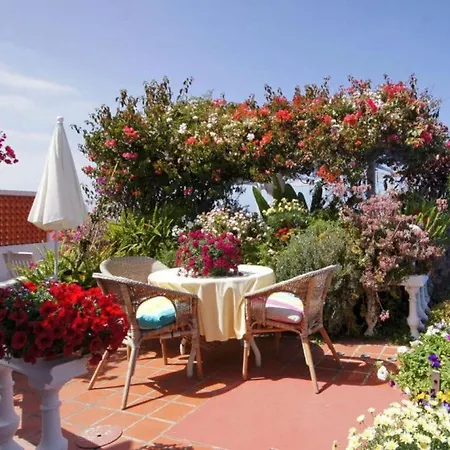 Bungalow Palmitita Lejlighed *